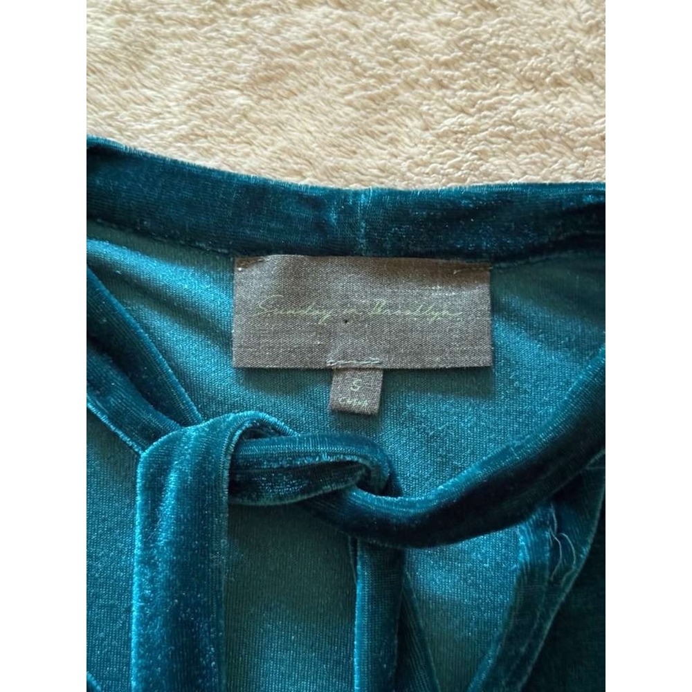 Sunday in Brooklyn Teal Blue Velvet Tie-Neck Short Sleeve Top Anthropologie S - Picture 4 of 8